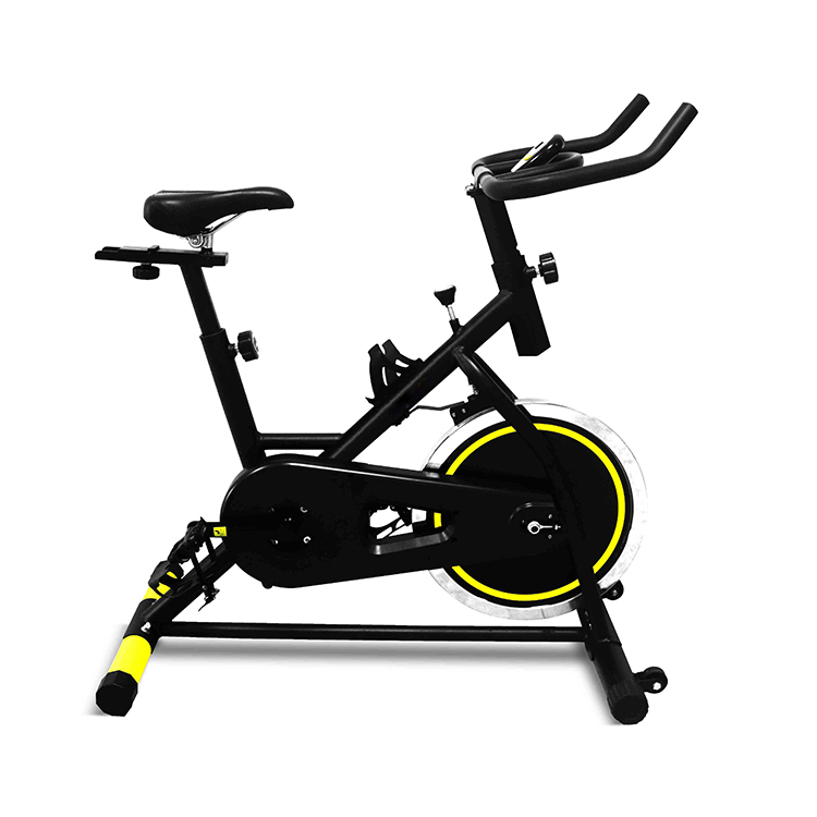 PL-P027H Home Indoor Use Fitness Equipment Spinning Bike Exercise Bike With 10kg Flywheel Chain Drive